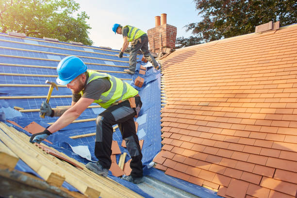 BF Roofing & Property Maintenance